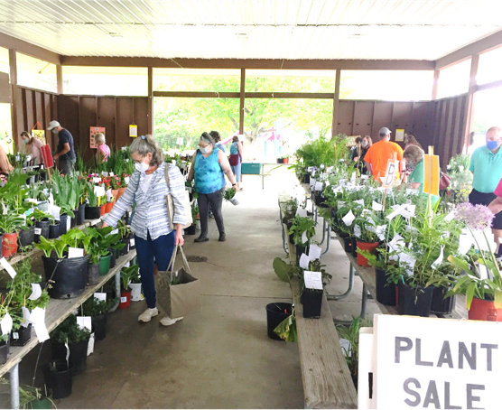 Annual-Plant-Sale